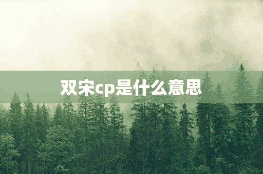 双宋cp是什么意思